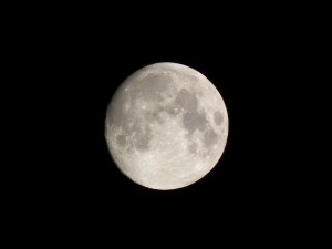 DSCF5359
