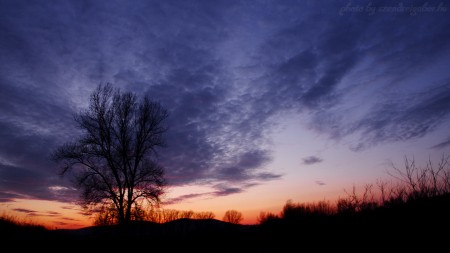 Naplemente a réten - szendreigabor.hu