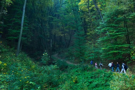 Tatabánya 20 (30) km túrabeszámoló - fotó: Szendrei Gábor