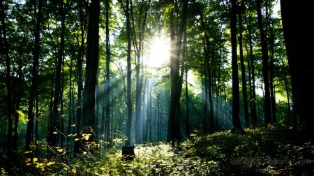 Tatabánya 20 (30) km túrabeszámoló - fotó: Szendrei Gábor