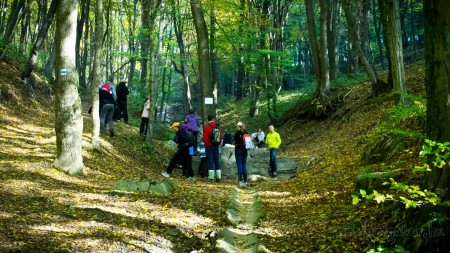Tatabánya 20 (30) km túrabeszámoló - fotó: Szendrei Gábor