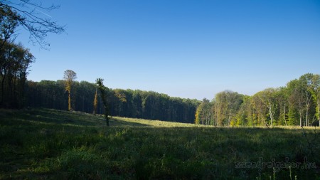 Tatabánya 20 (30) km túrabeszámoló - fotó: Szendrei Gábor