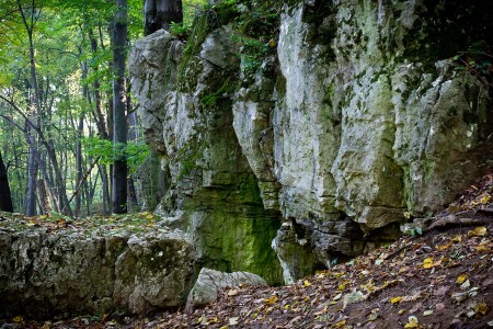 Tatabánya 20 (30) km túrabeszámoló - fotó: Szendrei Gábor