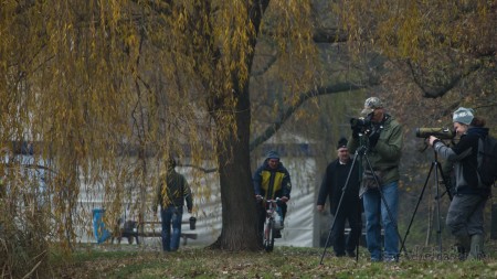 Tatai Vadlúd Sokadalom - fotó: Szendrei Gábor