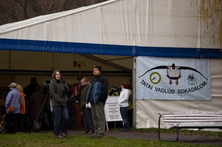 Tatai Vadlúd Sokadalom - fotó: Szendrei Gábor