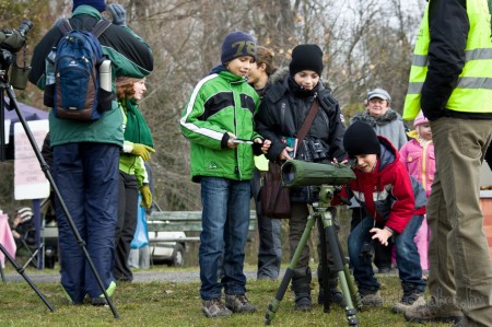 Tatai Vadlúd Sokadalom - fotó: Szendrei Gábor