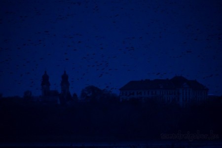 Tatai Vadlúd Sokadalom - fotó: Szendrei Gábor