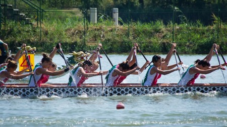 2013.07.28. 11. IDBF Sárkányhajó Világbajnokság Szegeden - fotó: Szendrei Gábor