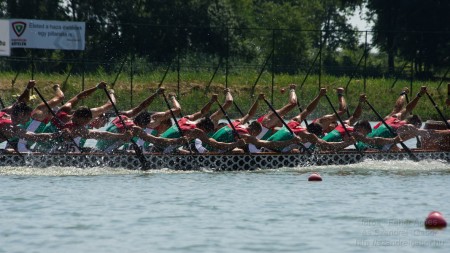 2013.07.28. 11. IDBF Sárkányhajó Világbajnokság Szegeden - fotó: Szendrei Gábor