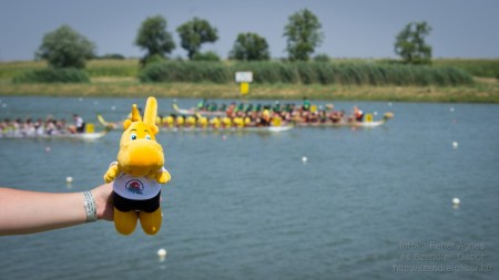 2013.07.28. 11. IDBF Sárkányhajó Világbajnokság Szegeden - fotó: Szendrei Gábor