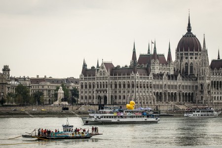 Az első Kacsafutam Budapesten 2014 - fotó: Szendrei Gábor Az első Kacsafutam Budapesten 2014 - fotó: Szendrei Gábor