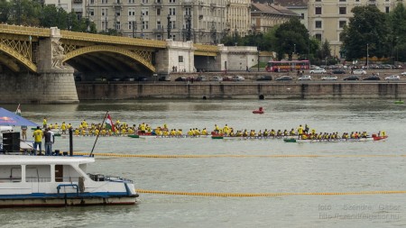 Az első Kacsafutam Budapesten 2014 - fotó: Szendrei Gábor Az első Kacsafutam Budapesten 2014 - fotó: Szendrei Gábor