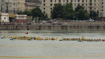 Az első Kacsafutam Budapesten 2014 - fotó: Szendrei Gábor Az első Kacsafutam Budapesten 2014 - fotó: Szendrei Gábor
