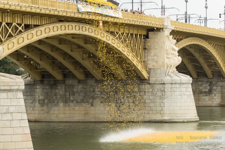 Az első Kacsafutam Budapesten 2014 - fotó: Szendrei Gábor Az első Kacsafutam Budapesten 2014 - fotó: Szendrei Gábor