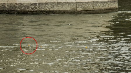 Az első Kacsafutam Budapesten 2014 - fotó: Szendrei Gábor Az első Kacsafutam Budapesten 2014 - fotó: Szendrei Gábor