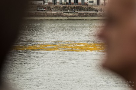 Az első Kacsafutam Budapesten 2014 - fotó: Szendrei Gábor Az első Kacsafutam Budapesten 2014 - fotó: Szendrei Gábor