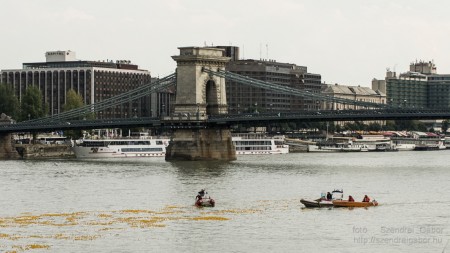 Az első Kacsafutam Budapesten 2014 - fotó: Szendrei Gábor Az első Kacsafutam Budapesten 2014 - fotó: Szendrei Gábor