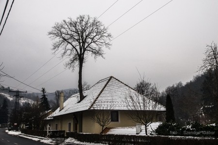 2015.01.02. Görgey Artúr emléktúra 25 km - fotó: Szendrei Gábor 2015.01.02. Görgey Artúr emléktúra 25 km - fotó: Szendrei Gábor