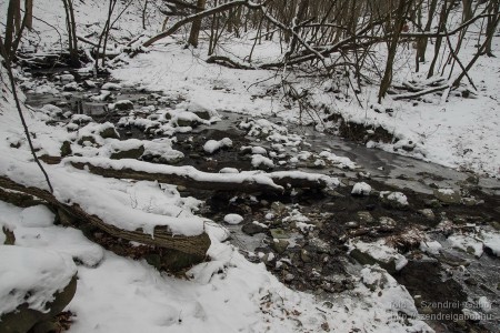 2015.01.02. Görgey Artúr emléktúra 25 km - fotó: Szendrei Gábor 2015.01.02. Görgey Artúr emléktúra 25 km - fotó: Szendrei Gábor