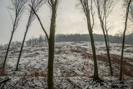 2015.01.02. Görgey Artúr emléktúra 25 km - fotó: Szendrei Gábor 2015.01.02. Görgey Artúr emléktúra 25 km - fotó: Szendrei Gábor