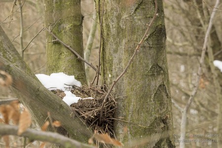 2015.01.02. Görgey Artúr emléktúra 25 km - fotó: Szendrei Gábor 2015.01.02. Görgey Artúr emléktúra 25 km - fotó: Szendrei Gábor