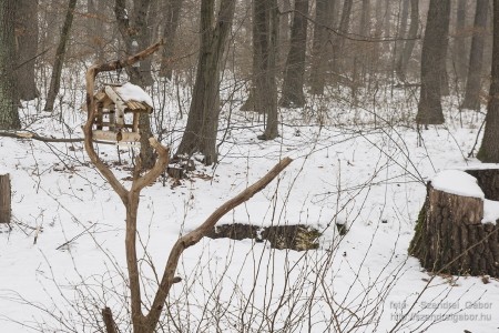 2015.01.02. Görgey Artúr emléktúra 25 km - fotó: Szendrei Gábor 2015.01.02. Görgey Artúr emléktúra 25 km - fotó: Szendrei Gábor