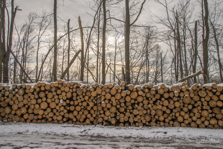 2015.01.02. Görgey Artúr emléktúra 25 km - fotó: Szendrei Gábor 2015.01.02. Görgey Artúr emléktúra 25 km - fotó: Szendrei Gábor