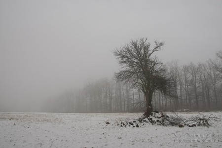2015.01.02. Görgey Artúr emléktúra 25 km - fotó: Szendrei Gábor 2015.01.02. Görgey Artúr emléktúra 25 km - fotó: Szendrei Gábor