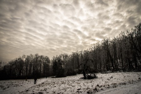 2015.01.02. Görgey Artúr emléktúra 25 km - fotó: Szendrei Gábor 2015.01.02. Görgey Artúr emléktúra 25 km - fotó: Szendrei Gábor