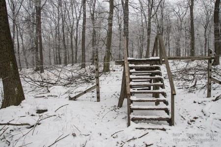 2015.01.02. Görgey Artúr emléktúra 25 km - fotó: Szendrei Gábor 2015.01.02. Görgey Artúr emléktúra 25 km - fotó: Szendrei Gábor