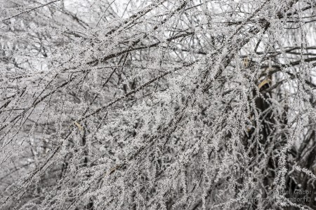 2015.01.02. Görgey Artúr emléktúra 25 km - fotó: Szendrei Gábor 2015.01.02. Görgey Artúr emléktúra 25 km - fotó: Szendrei Gábor