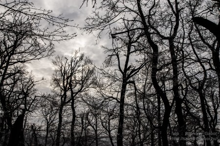 2015.01.02. Görgey Artúr emléktúra 25 km - fotó: Szendrei Gábor 2015.01.02. Görgey Artúr emléktúra 25 km - fotó: Szendrei Gábor