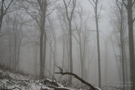 2015.01.02. Görgey Artúr emléktúra 25 km - fotó: Szendrei Gábor 2015.01.02. Görgey Artúr emléktúra 25 km - fotó: Szendrei Gábor