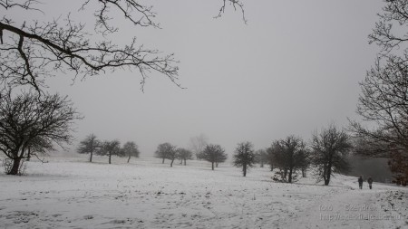2015.01.02. Görgey Artúr emléktúra 25 km - fotó: Szendrei Gábor 2015.01.02. Görgey Artúr emléktúra 25 km - fotó: Szendrei Gábor