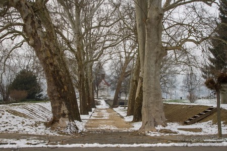 2015.01.02. Görgey Artúr emléktúra 25 km - fotó: Szendrei Gábor 2015.01.02. Görgey Artúr emléktúra 25 km - fotó: Szendrei Gábor