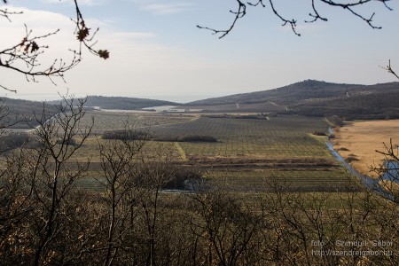 Téli Tihany 20 km - fotó: Szendrei Gábor Téli Tihany 20 km - fotó: Szendrei Gábor