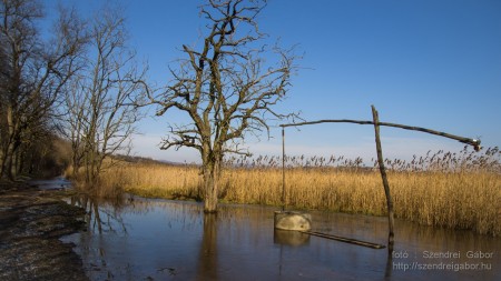 Téli Tihany 20 km - fotó: Szendrei Gábor Téli Tihany 20 km - fotó: Szendrei Gábor