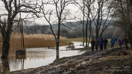 Téli Tihany 20 km - fotó: Szendrei Gábor Téli Tihany 20 km - fotó: Szendrei Gábor