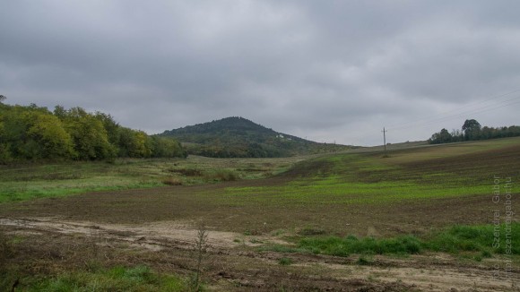 Szomor 23 teljesítménytúra 2015 - fotó: Szendrei Gábor Szomor 23 teljesítménytúra 2015 - fotó: Szendrei Gábor