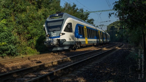Zebegény - Nagymaros gyalogtúra - fotó: Szendrei Gábor Zebegény - Nagymaros gyalogtúra - fotó: Szendrei Gábor