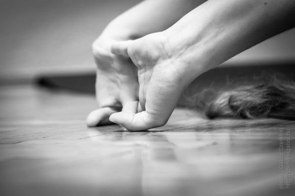 Prasarita padottanasana C - photo by Gabor Szendrei