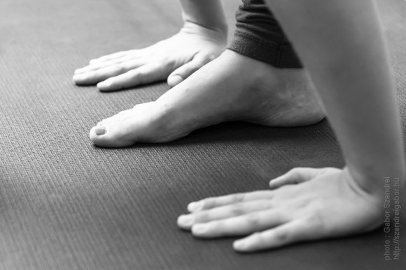 Ardha baddha padmottanasana - photo by Gabor Szendrei
