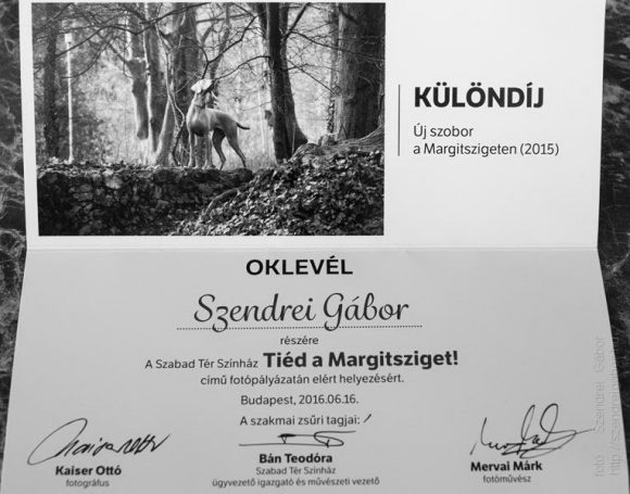 Tiéd a Margitsziget különdíj oklevél Szendrei Gábor Tiéd a Margitsziget különdíj oklevél Szendrei Gábor