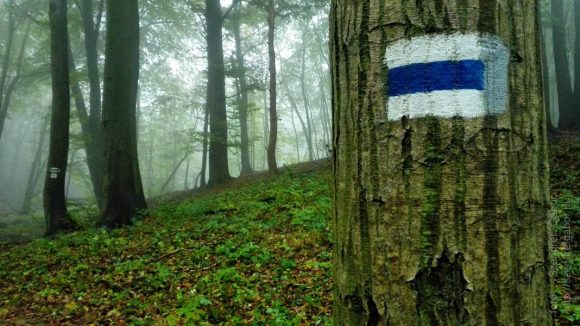 Tatabánya 20 (30) teljesítménytúra 2016 - fotó: Szendrei Gábor Tatabánya 20 (30) teljesítménytúra 2016 - fotó: Szendrei Gábor