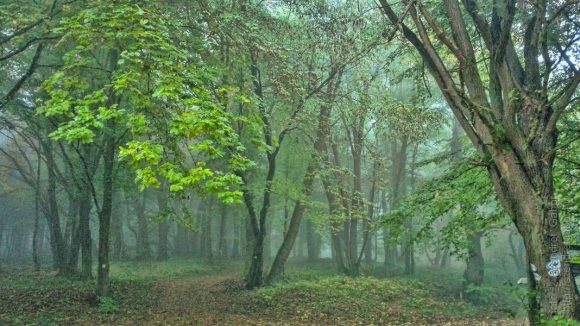 Tatabánya 20 (30) teljesítménytúra 2016 - fotó: Szendrei Gábor Tatabánya 20 (30) teljesítménytúra 2016 - fotó: Szendrei Gábor