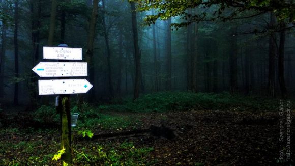 Tatabánya 20 (30) teljesítménytúra 2016 - fotó: Szendrei Gábor Tatabánya 20 (30) teljesítménytúra 2016 - fotó: Szendrei Gábor