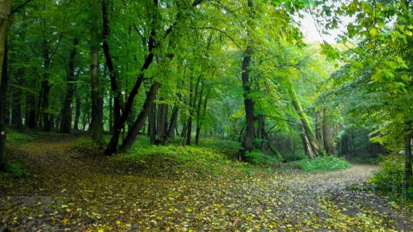Tatabánya 20 (30) teljesítménytúra 2016 - fotó: Szendrei Gábor Tatabánya 20 (30) teljesítménytúra 2016 - fotó: Szendrei Gábor