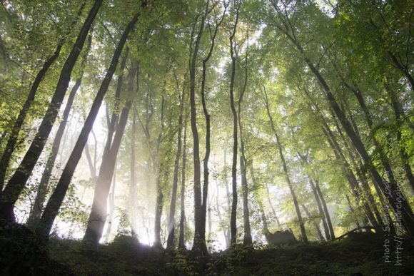 2020. Tatabánya 20km - fotó: Szendrei Gábor