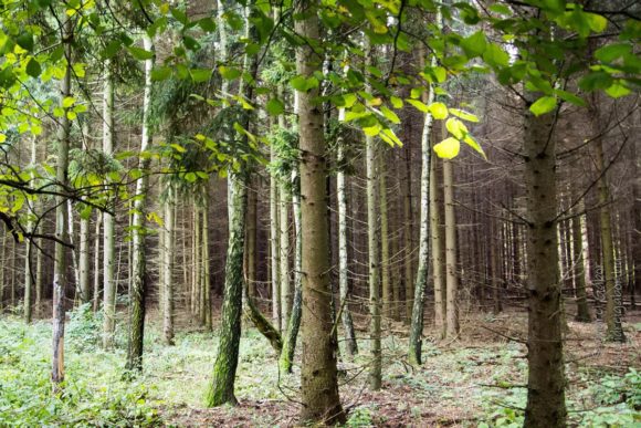 2020. Tatabánya 20km - fotó: Szendrei Gábor
