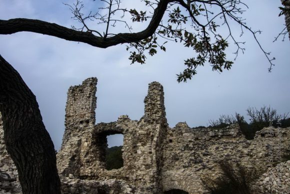 2020. Tatabánya 20km, Vitányvár - fotó: Szendrei Gábor